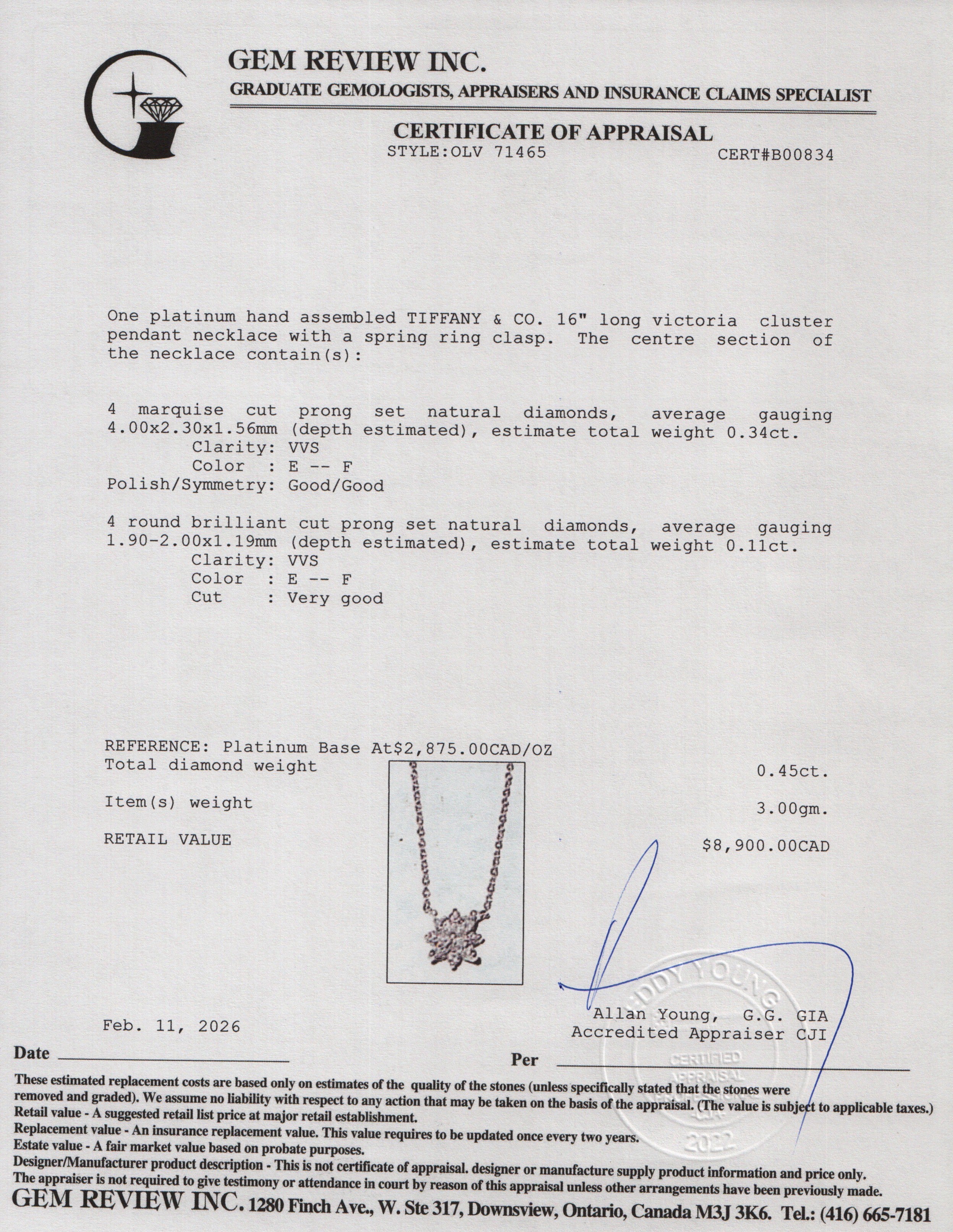 Tiffany & Co. Platinum Diamond Victoria Cluster Pendant Necklace w/ Box