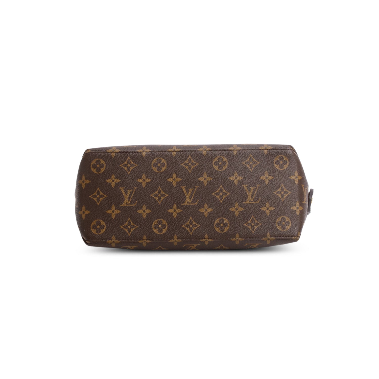 Louis Vuitton Monogram Petit Palais w/ Strap