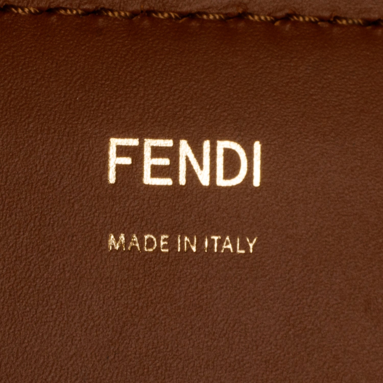 Fendi Brown Vitello King Plexiglass Logo Embossed Large Fendi Sunshine Shopper Tote