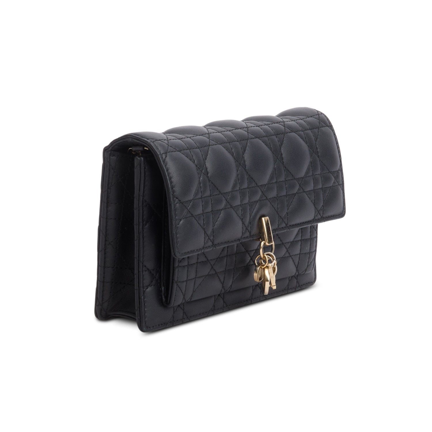 Christian Dior 2022 Black Lambskin Cannage My Dior Daily Chain Pouch w/ Box