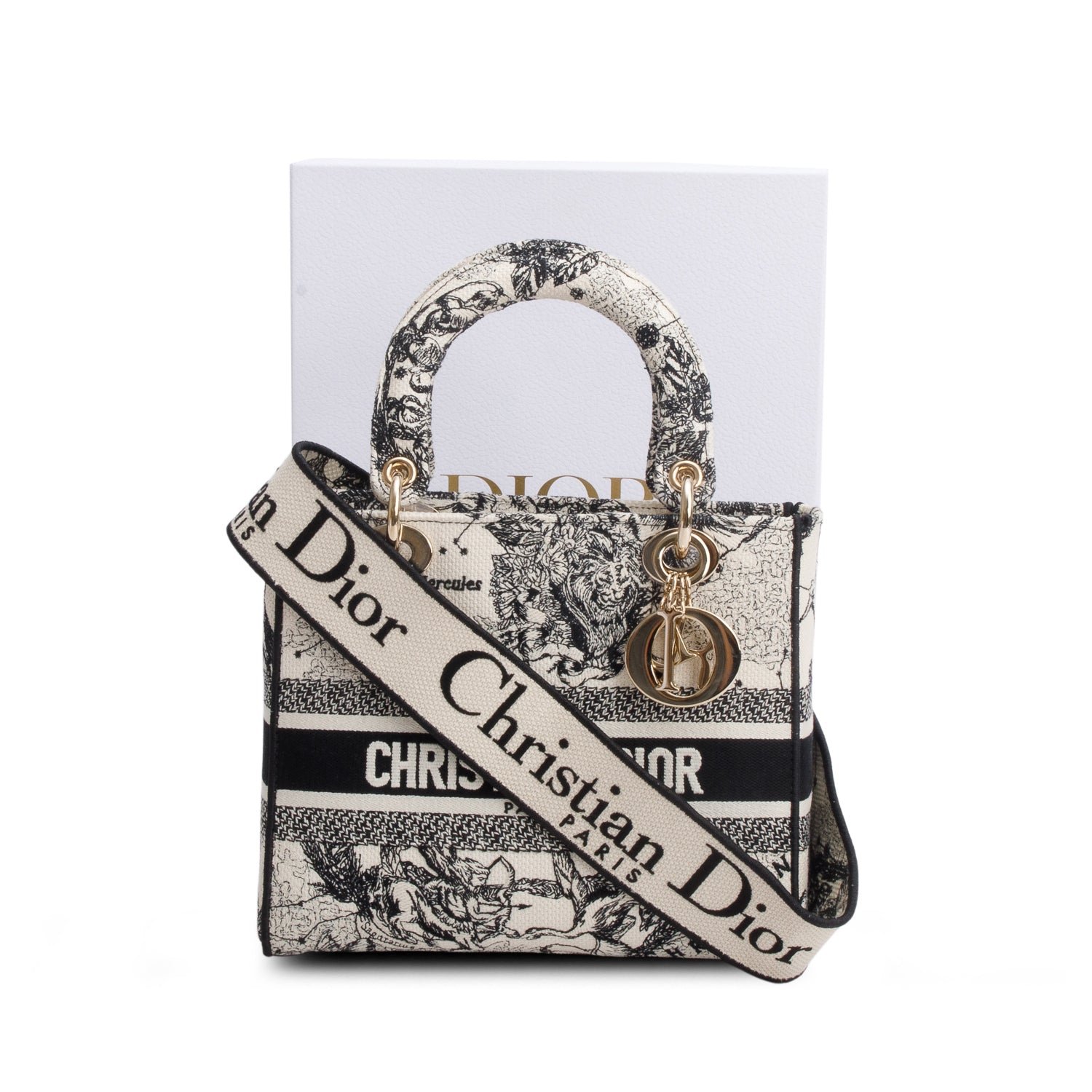 Christian Dior 2022 Blue Canvas Embroidered Zodiac Toile de Jouy Medium Lady D-Lite w/ Box, Authenticity Card & Strap