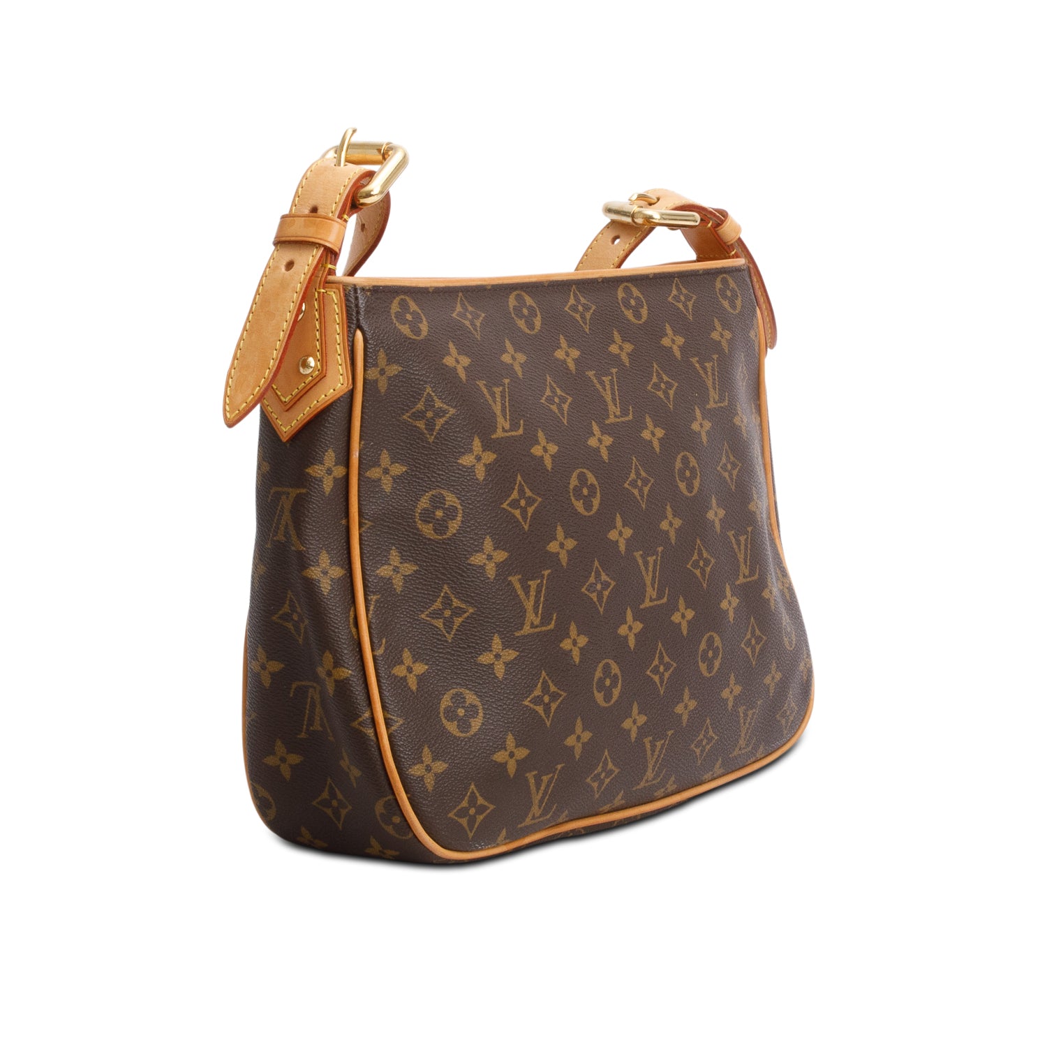 Louis Vuitton Monogram Hudson GM
