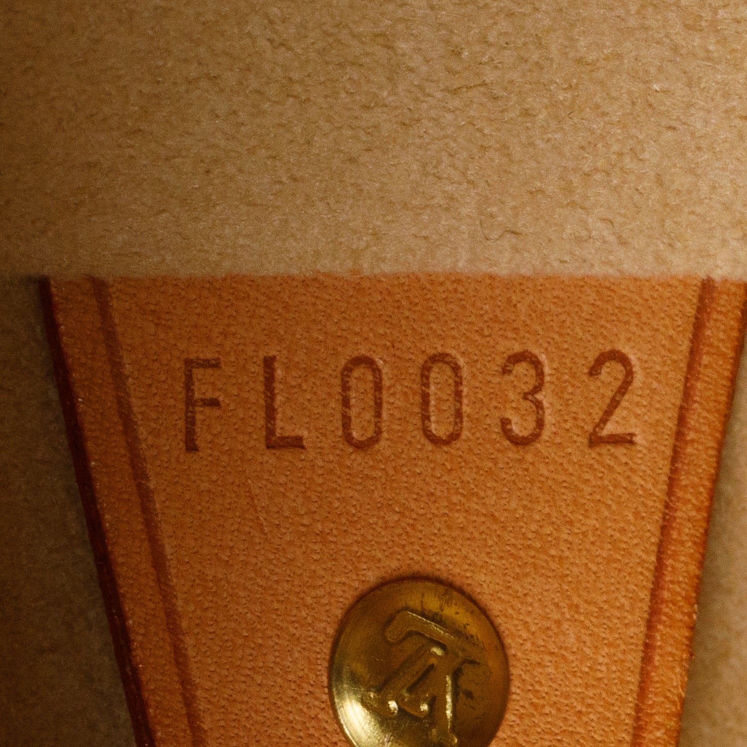 Louis Vuitton Monogram Cite GM