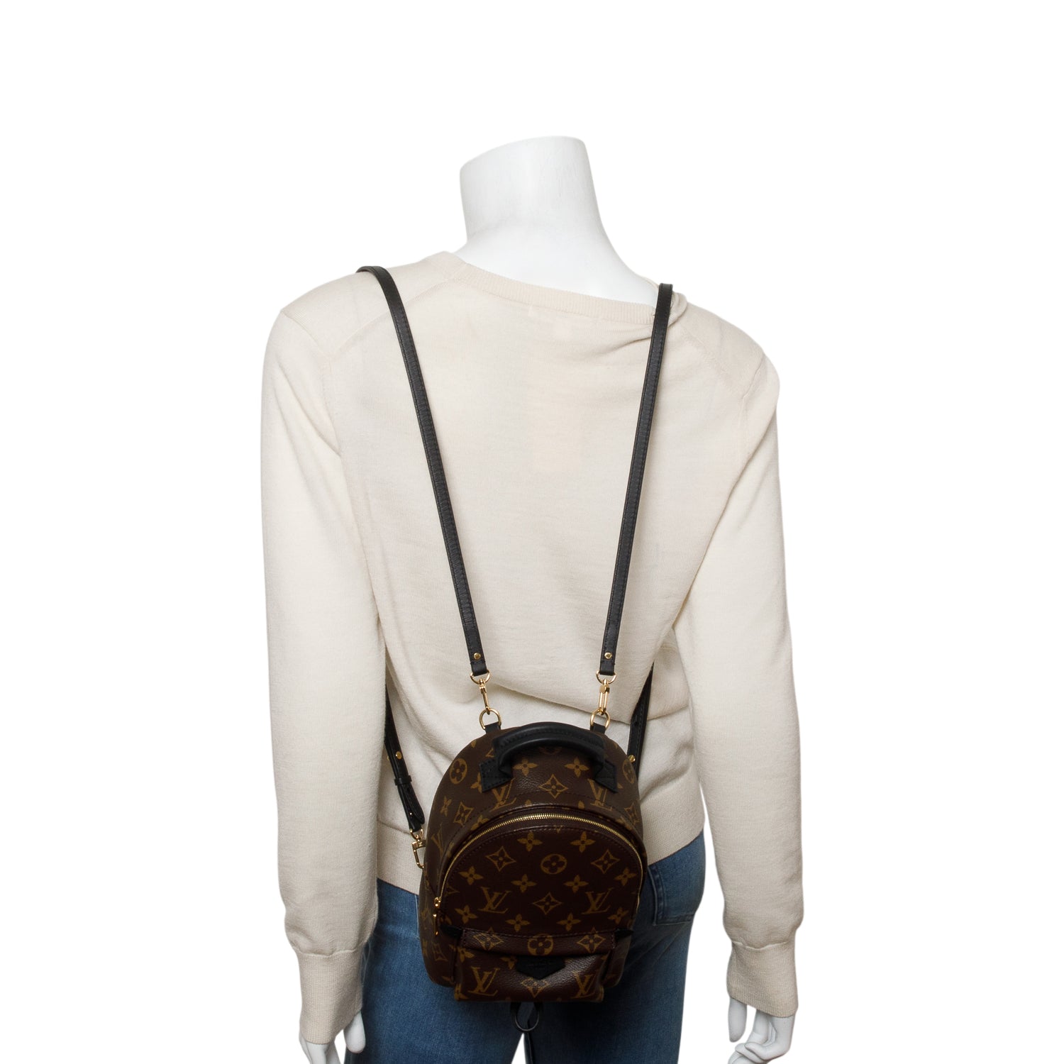 Louis Vuitton 2025 Monogram Palm Springs Mini Backpack w/ Box & Receipt