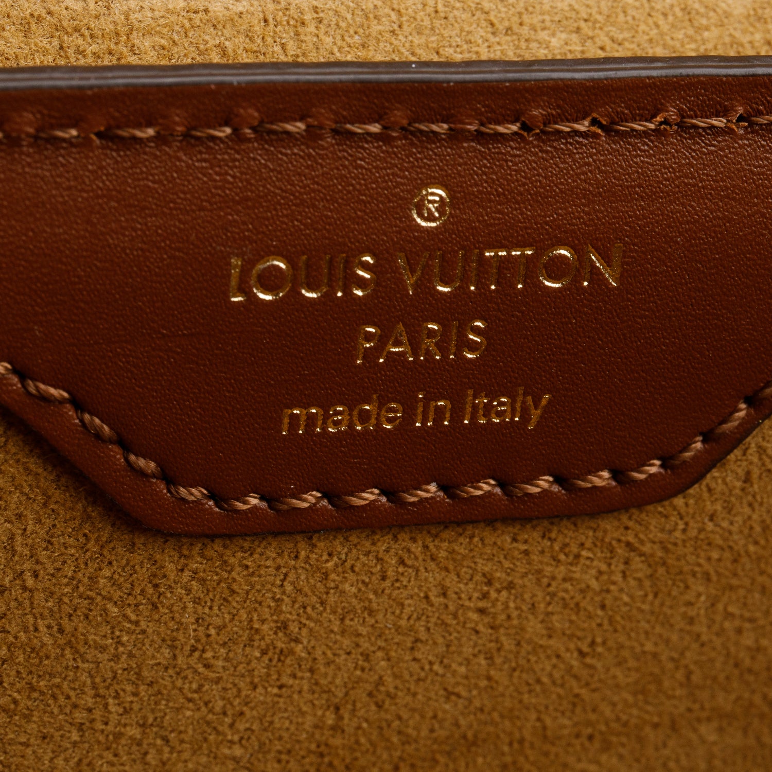 Louis Vuitton Monogram Papillon Trunk w/ Straps