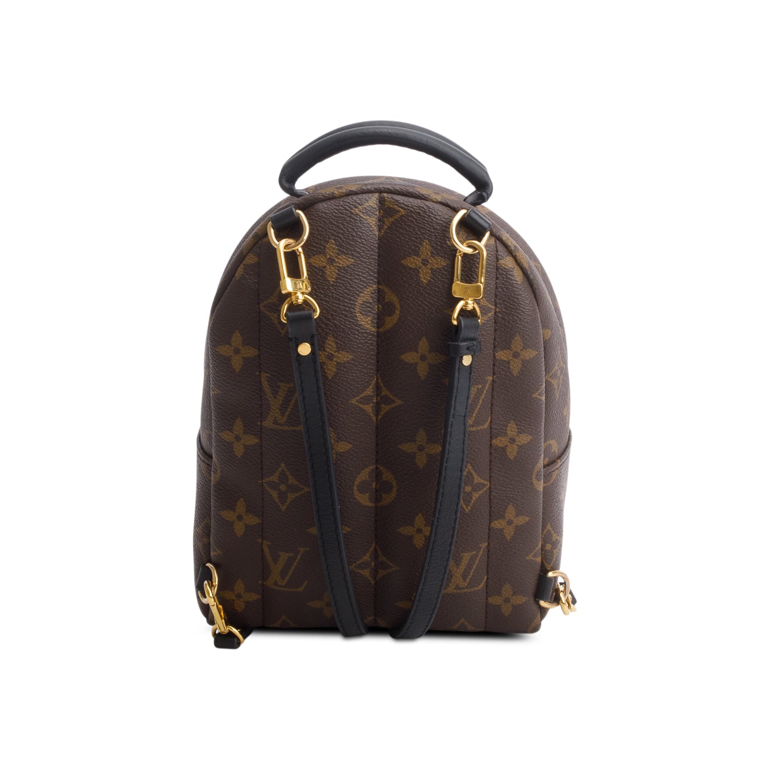 Louis Vuitton Monogram Palm Springs Mini Backpack