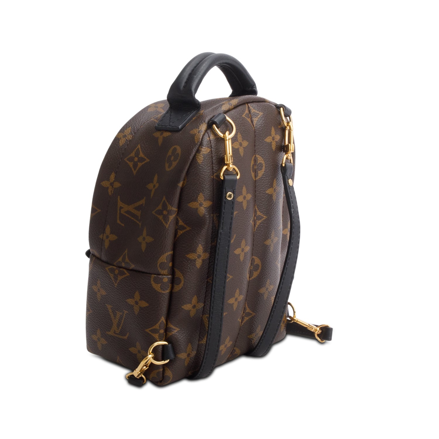 Louis Vuitton Monogram Palm Springs Mini Backpack