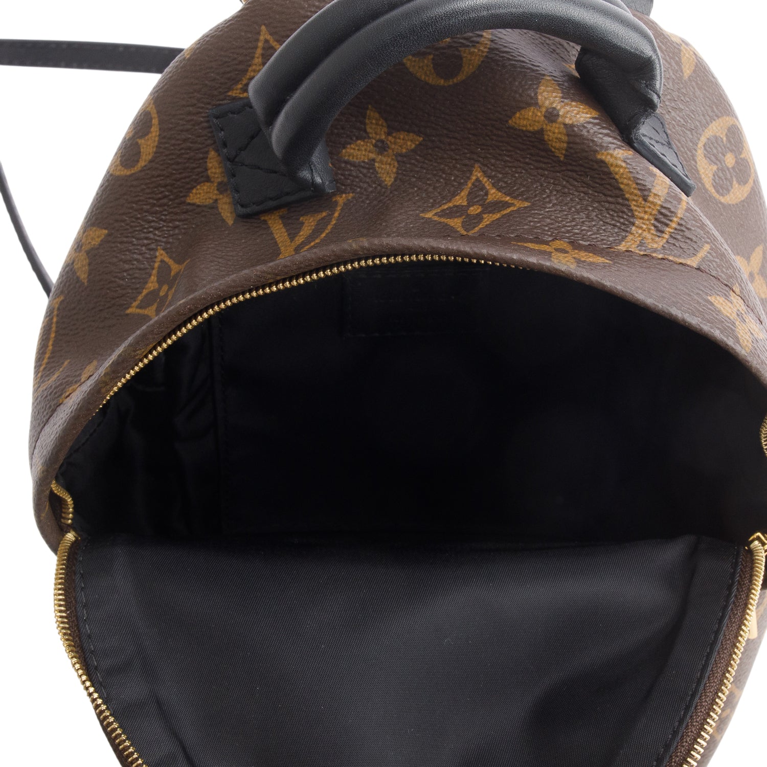 Louis Vuitton Monogram Palm Springs Mini Backpack