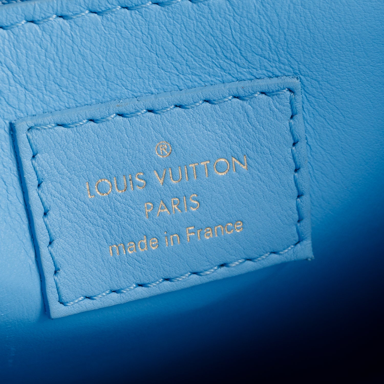 Louis Vuitton Multicolor Masters Turner Neonoe