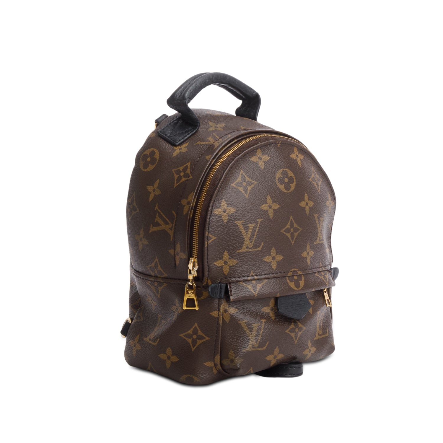 Louis Vuitton Monogram Palm Springs Mini Backpack