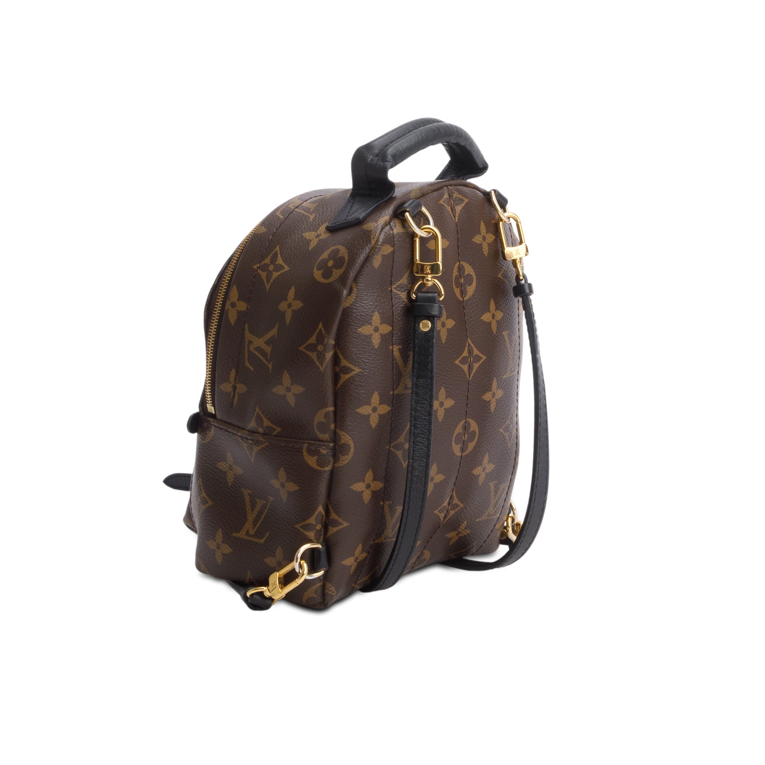 Louis Vuitton Monogram Palm Springs Mini Backpack