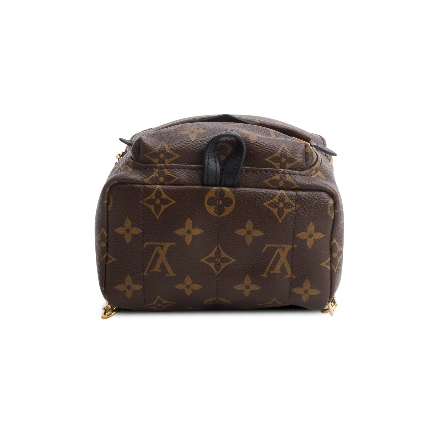 Louis Vuitton Monogram Palm Springs Mini Backpack