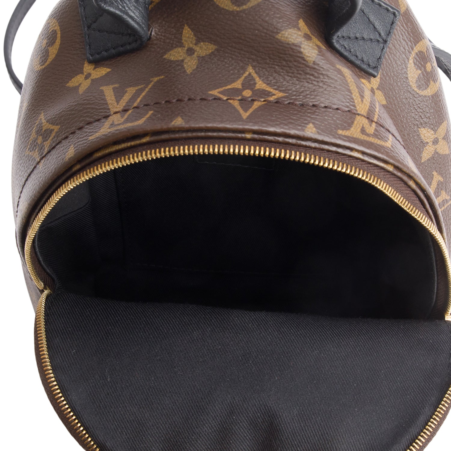 Louis Vuitton Monogram Palm Springs Mini Backpack