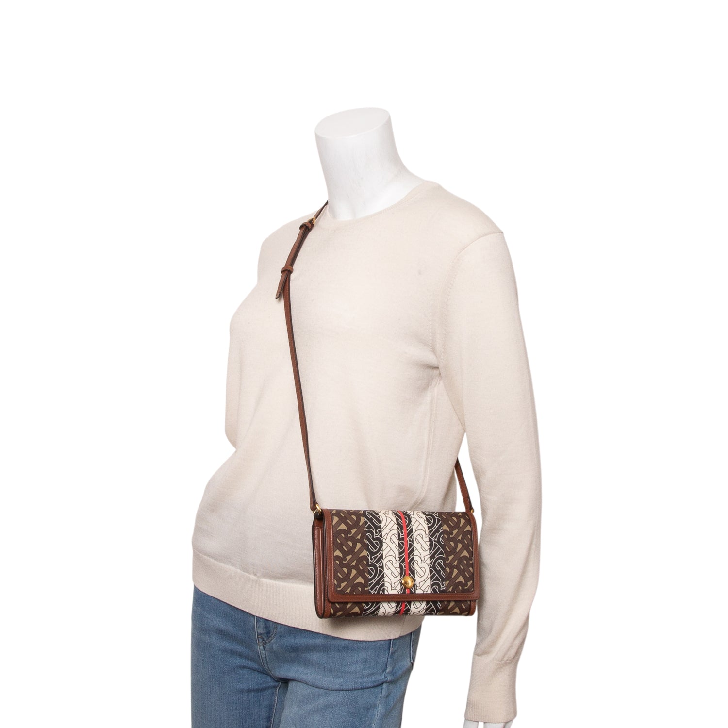 Burberry Multicolor E-Canvas Monogram Stripe Small TB Bag