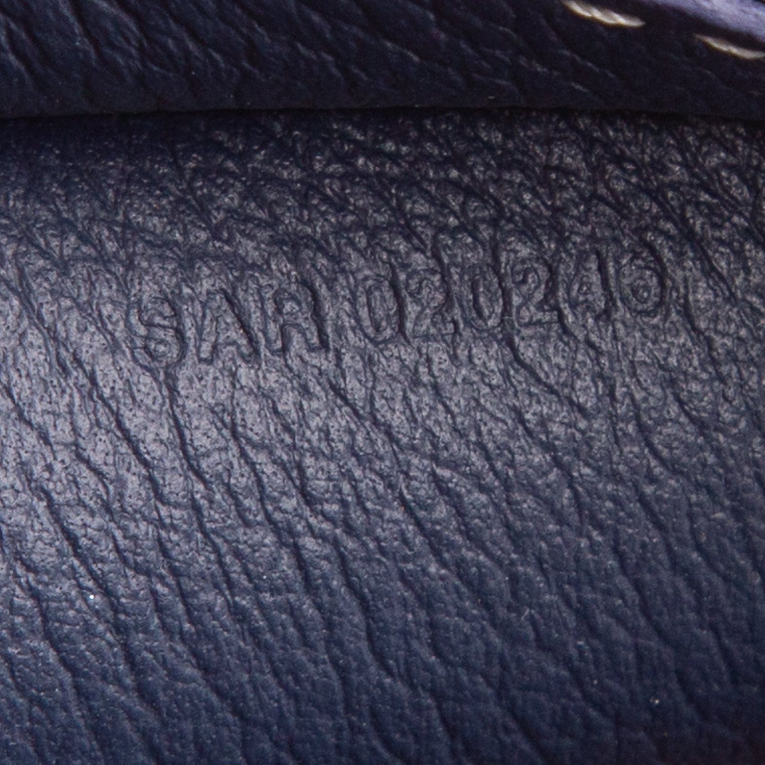 Goyard 2024 Navy Goyardine Canvas Hirondelle