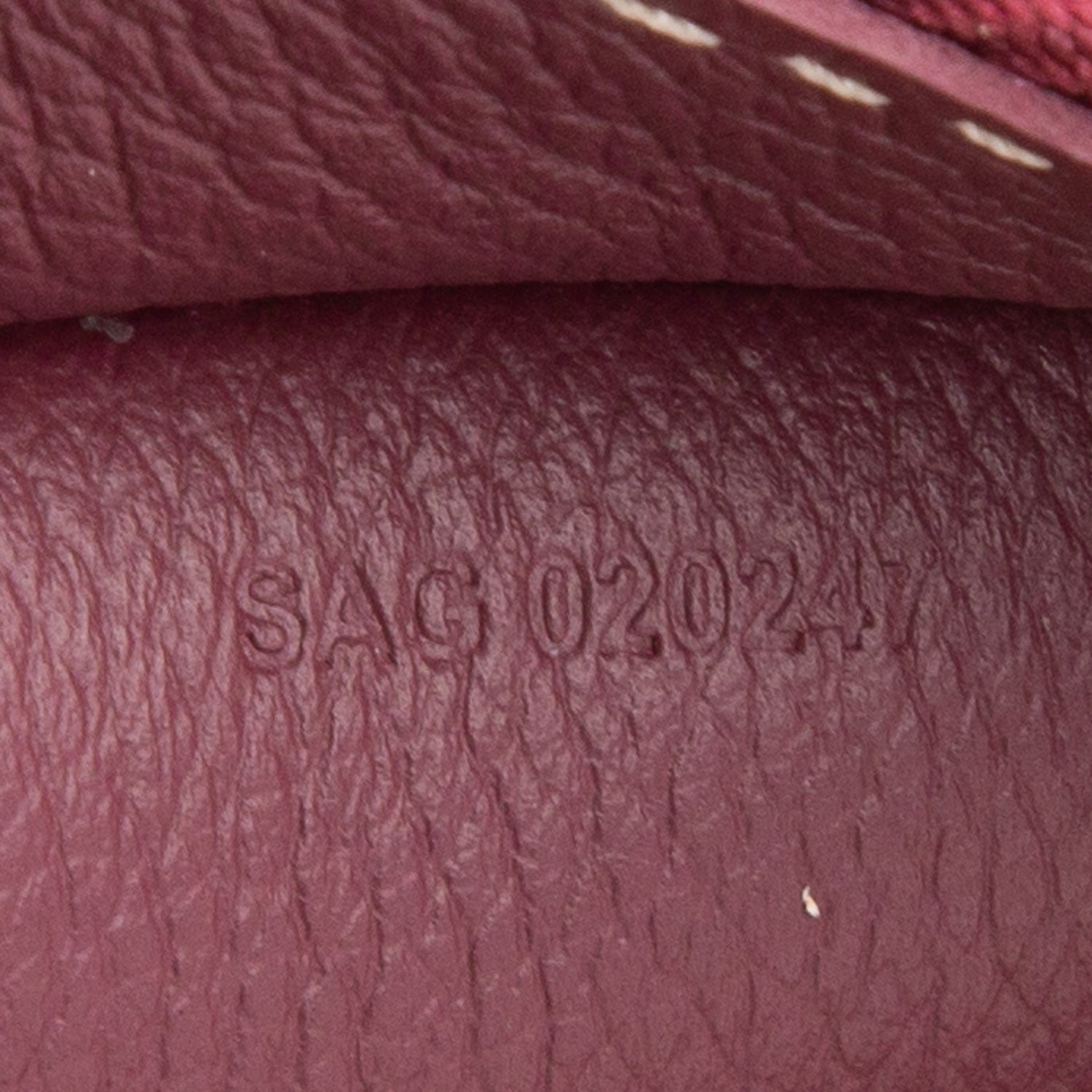 Goyard 2024 Burgundy Goyardine Canvas Hirondelle