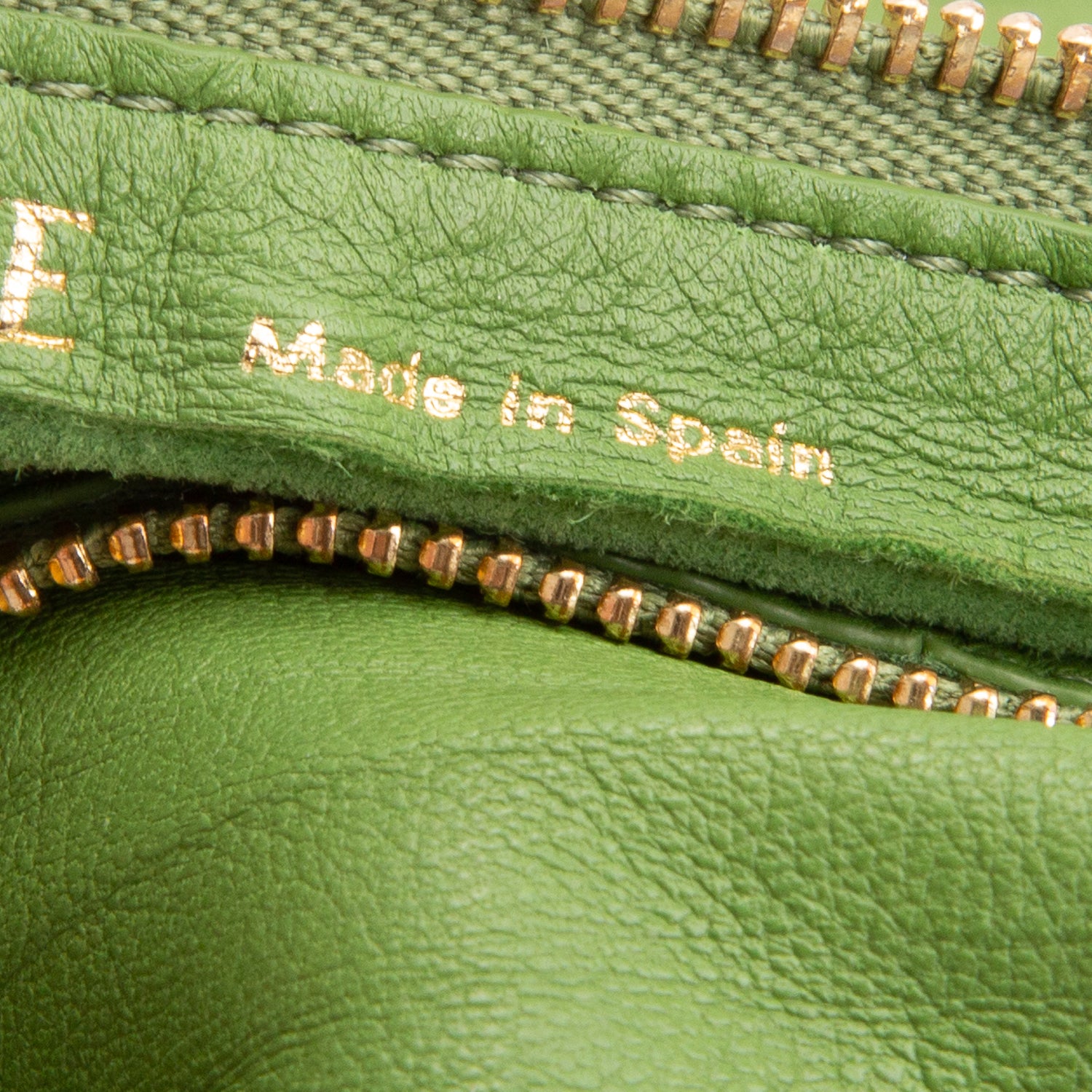 Loewe Green Lambskin Pleated Bracelet Pouch Shoulder Bag
