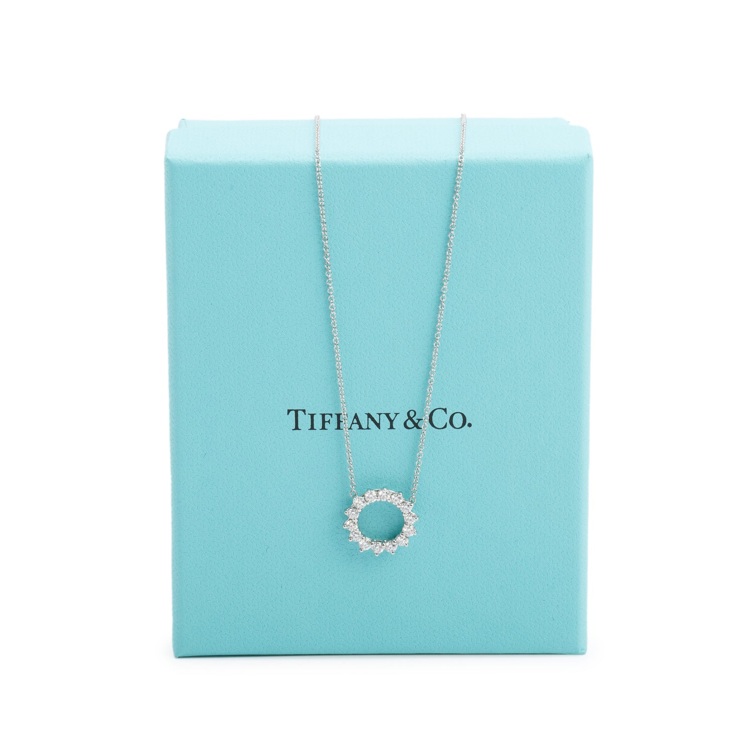 Tiffany & Co. Platinum Diamond Small Open Circle Pendant Necklace w/ Box
