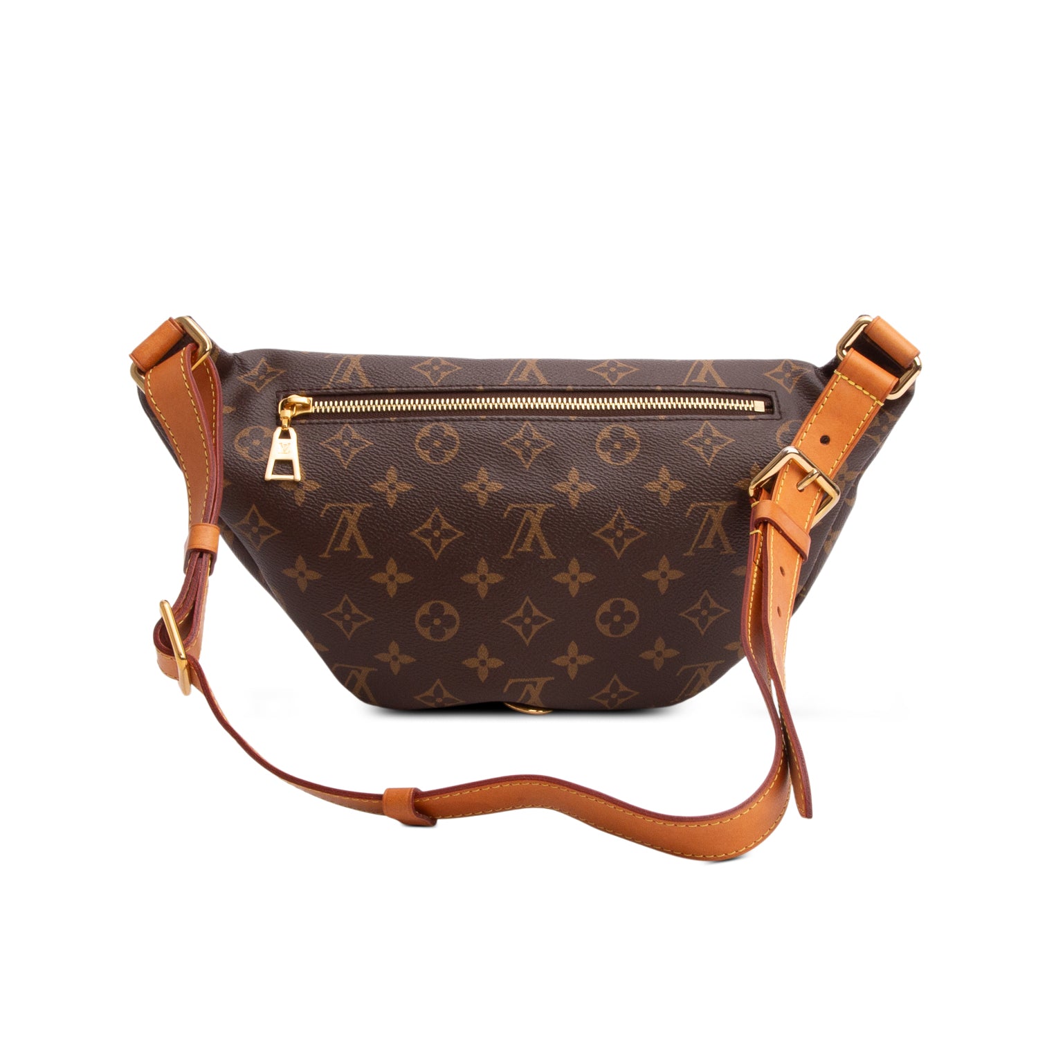 Louis Vuitton Monogram Bumbag