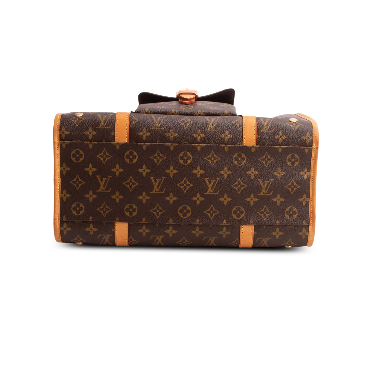 Louis Vuitton Monogram Baxter GM Dog Pet Carrier