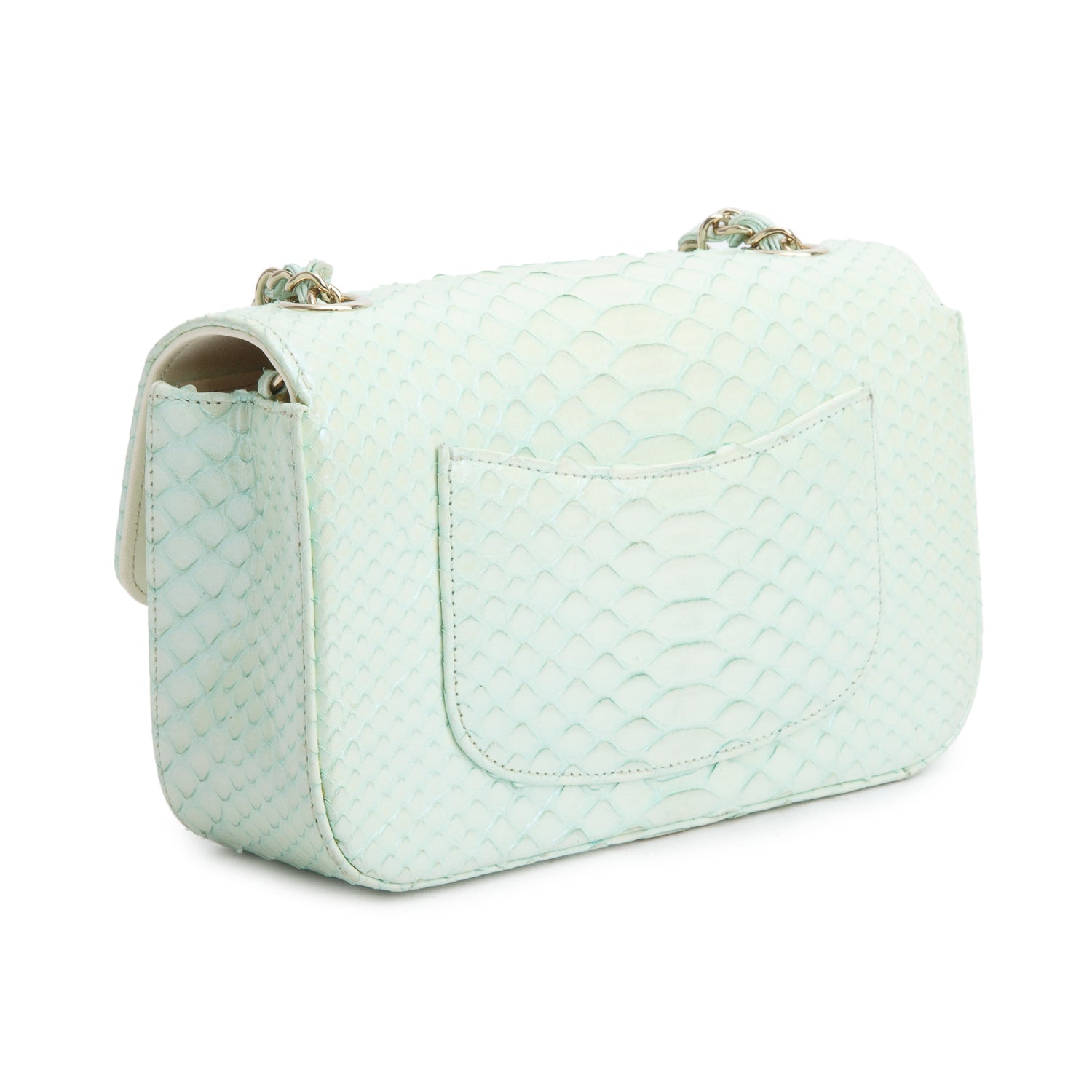 Chanel Green Iridescent Python Mini Single Flap w/ Authenticity Card