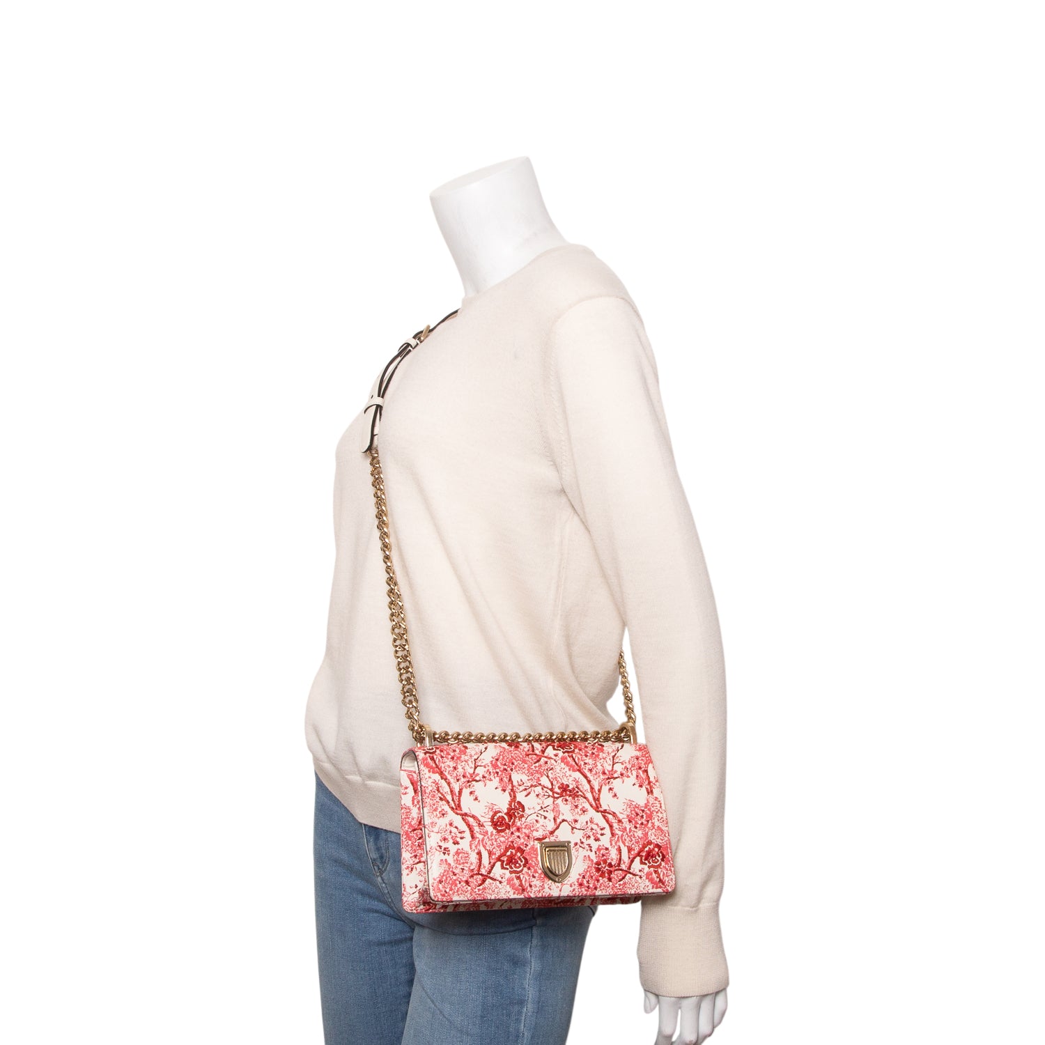 Christian Dior White/Red Lambskin Embroidered Floral Toile de Jouy Medium Diorama