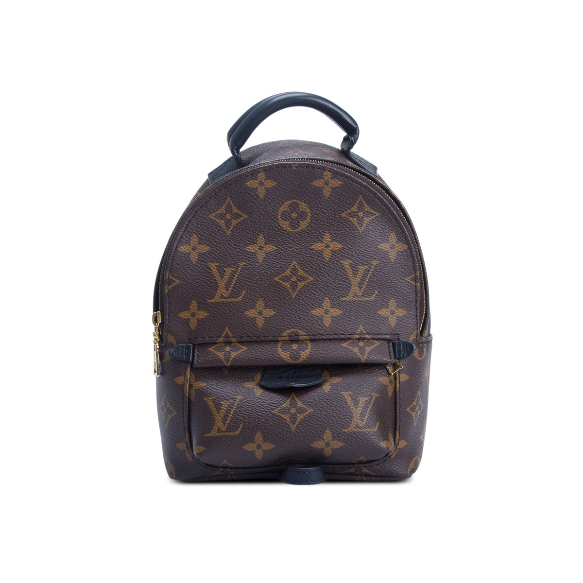 Louis Vuitton 2020 Monogram Palm Springs Mini Backpack
