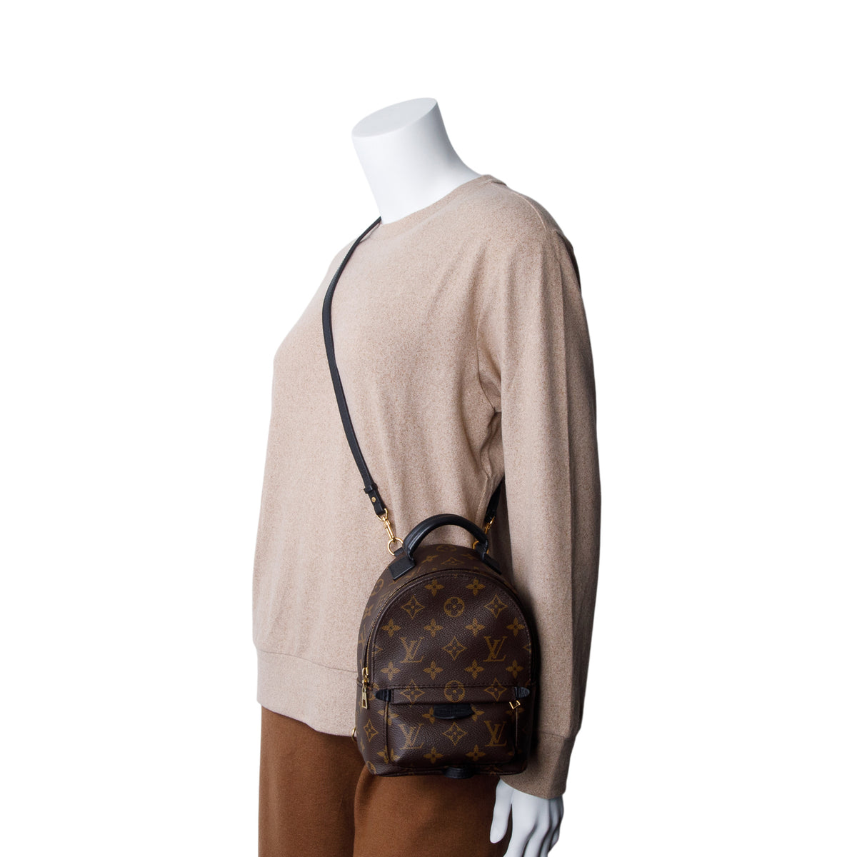 Louis Vuitton 2020 Monogram Palm Springs Mini Backpack