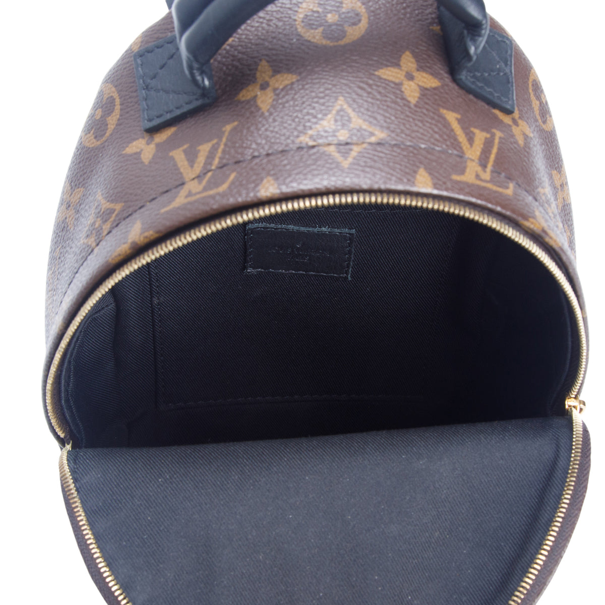 Louis Vuitton 2020 Monogram Palm Springs Mini Backpack