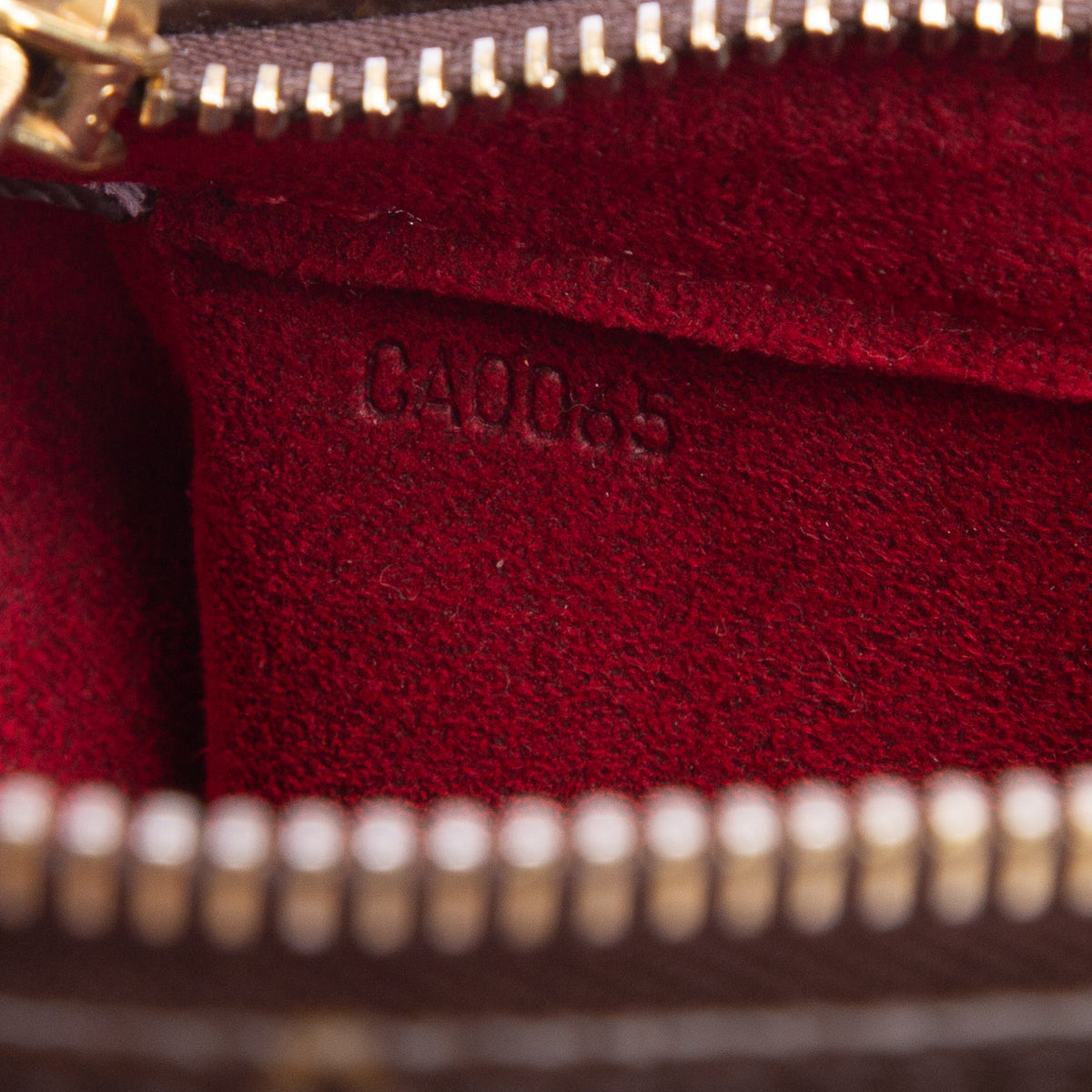 Louis Vuitton Monogram Viva Cite PM