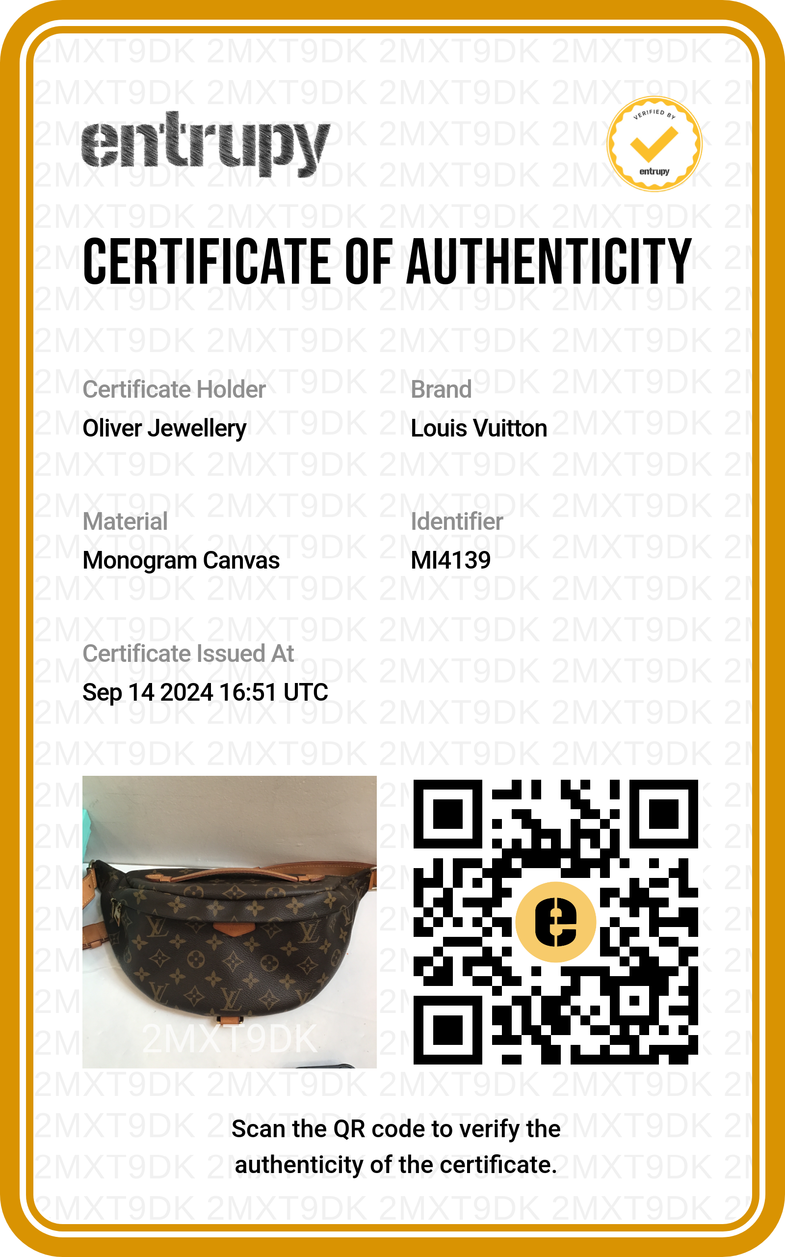 Louis Vuitton Monogram Bumbag MM