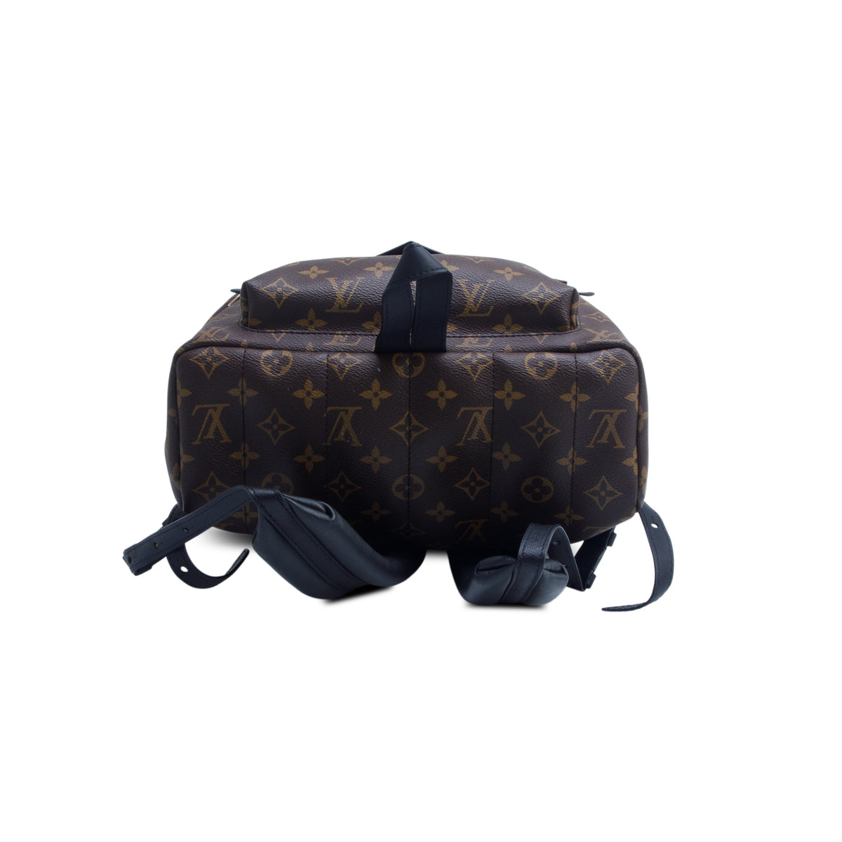 Louis Vuitton Monogram Palm Springs Backpack MM