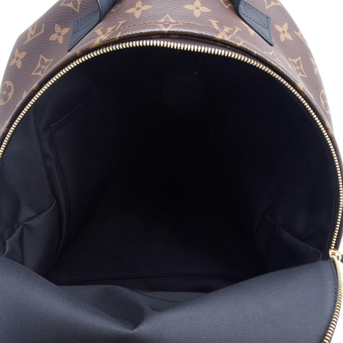 Louis Vuitton Monogram Palm Springs Backpack MM