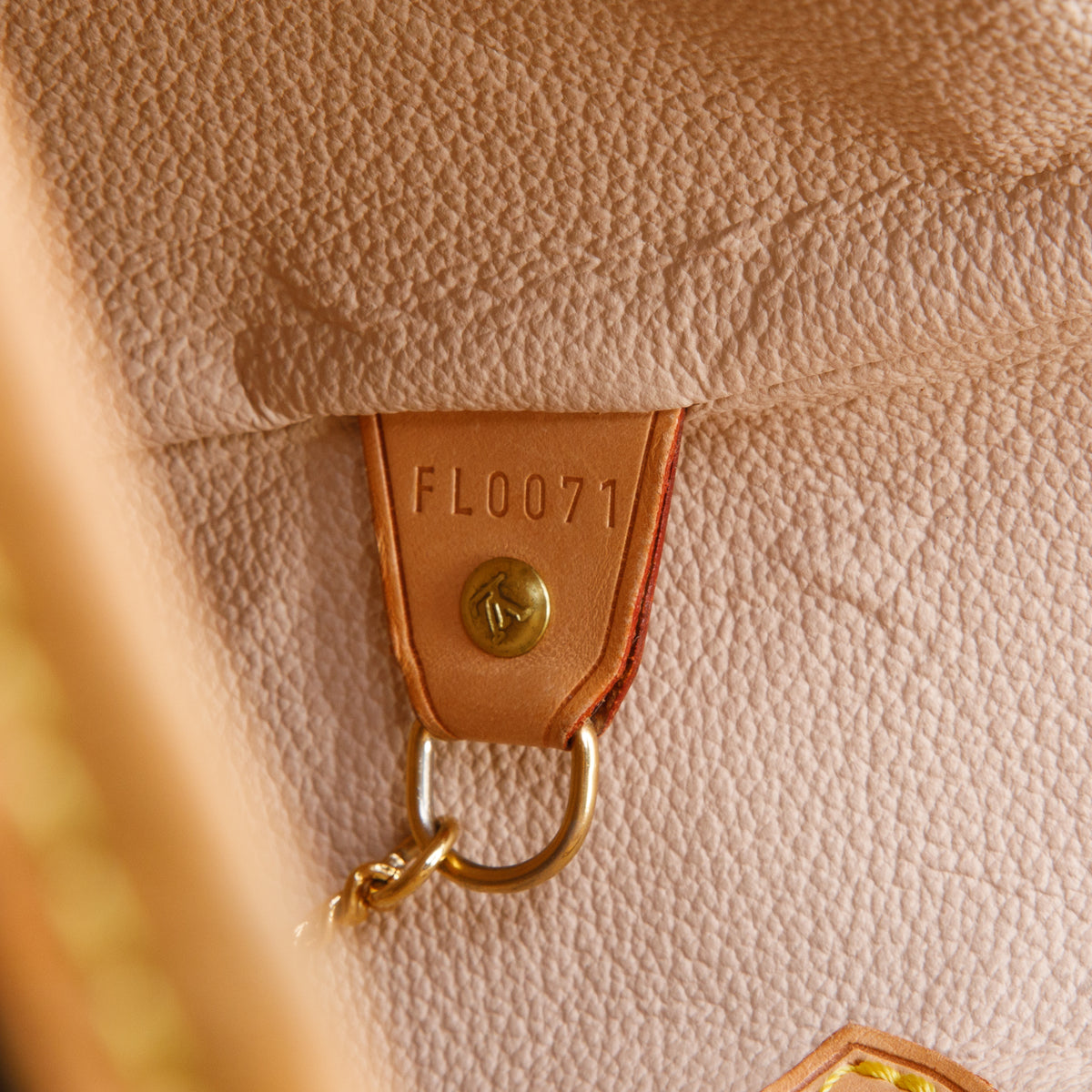 Louis Vuitton Monogram Bucket Bag