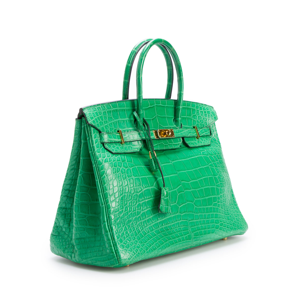 Hermes Cactus Matte Missippian Alligator Birkin 35