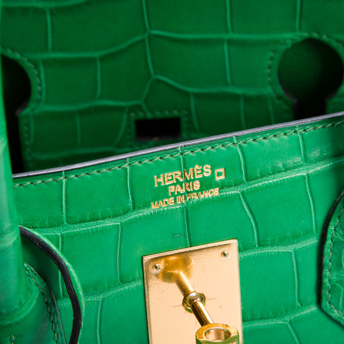 Hermes Cactus Matte Missippian Alligator Birkin 35