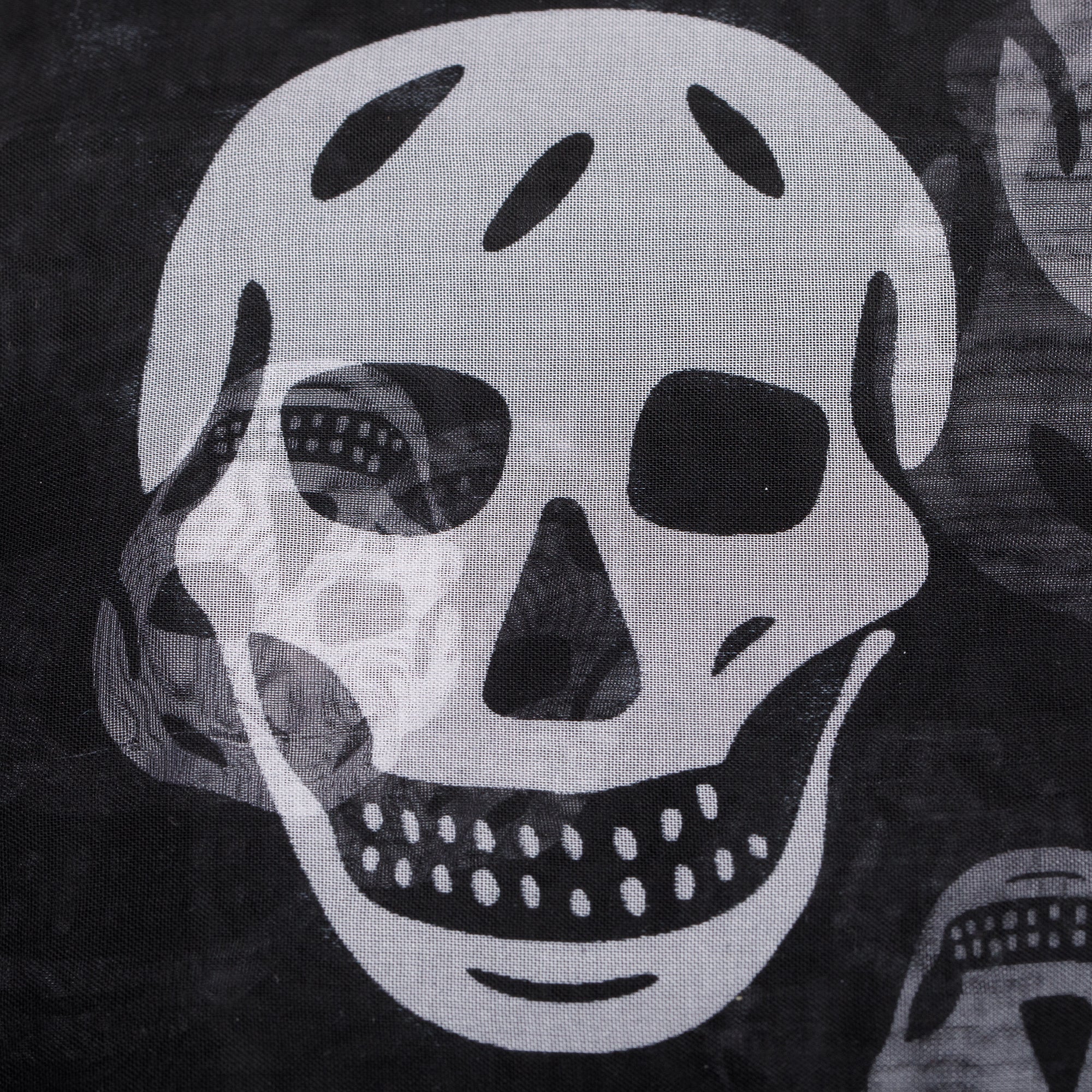 Alexander McQueen Black/White Skull Printed Silk Scarf