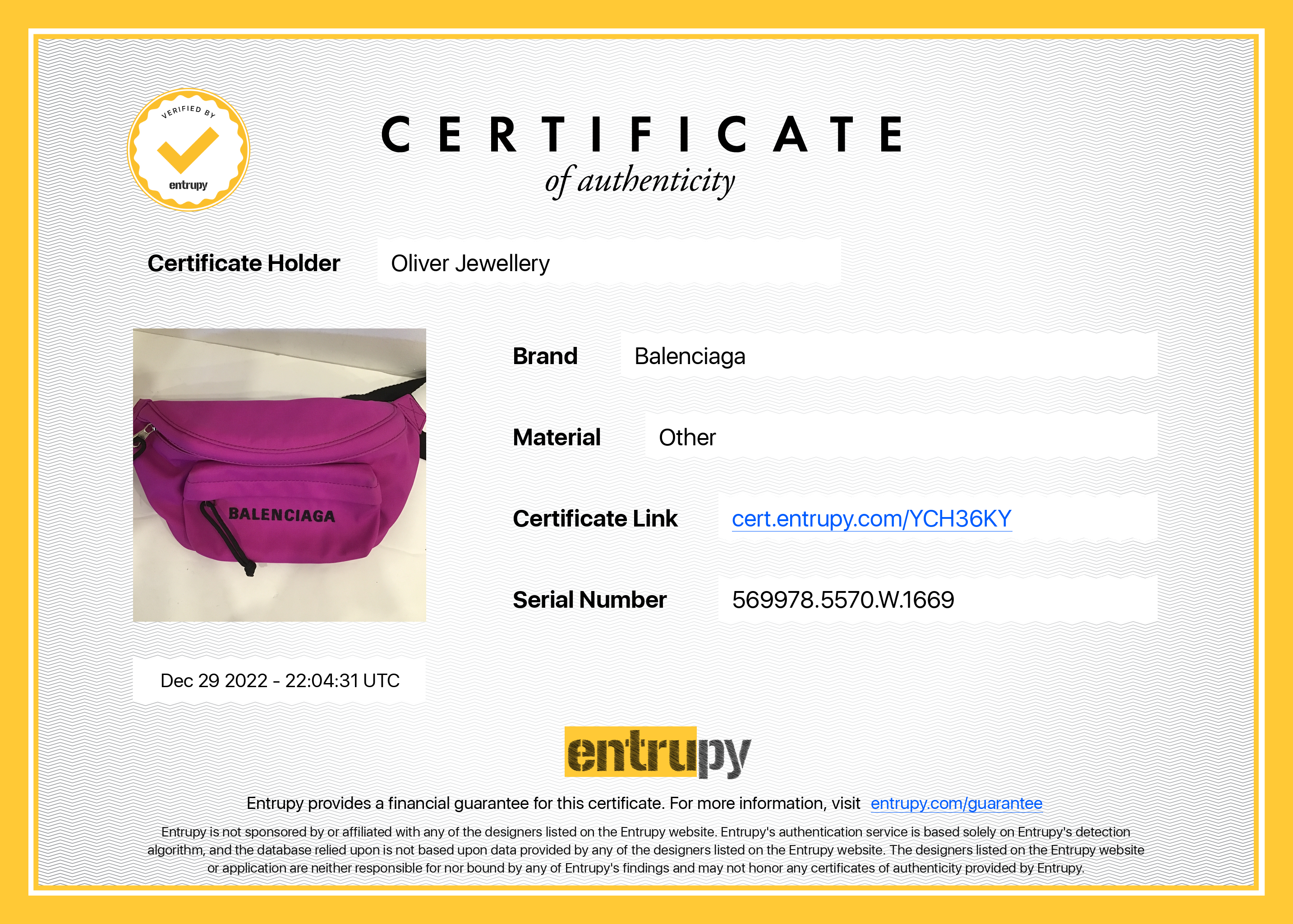 Balenciaga Pink Nylon Wheel Belt Bag