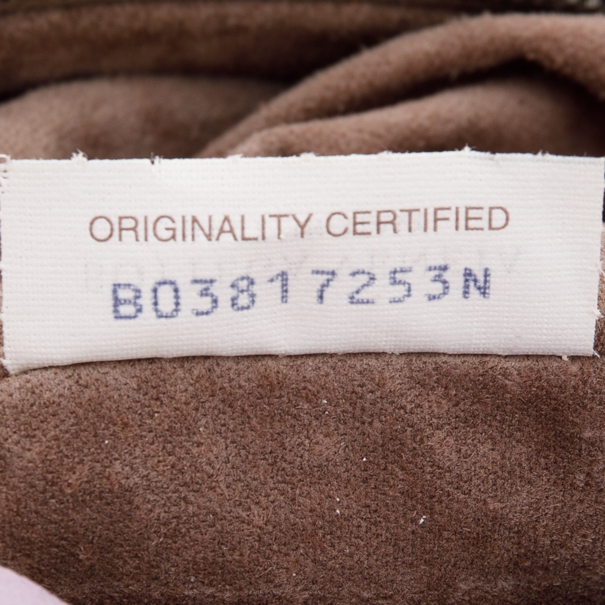 Bottega Veneta Small Intrecciato Campana Hobo Bag