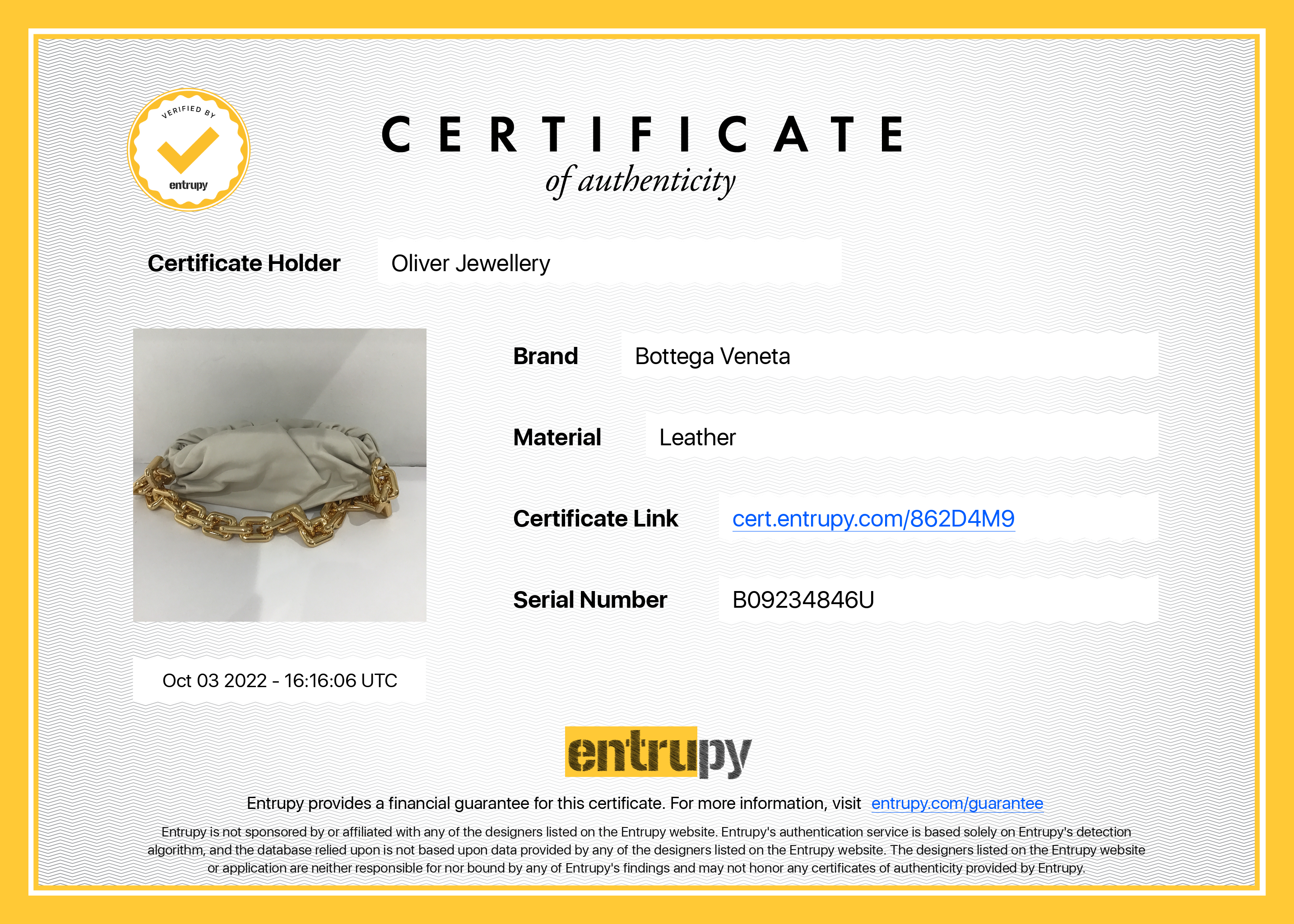 Bottega Veneta The Chain Pouch Bag w/ Box & Receipt