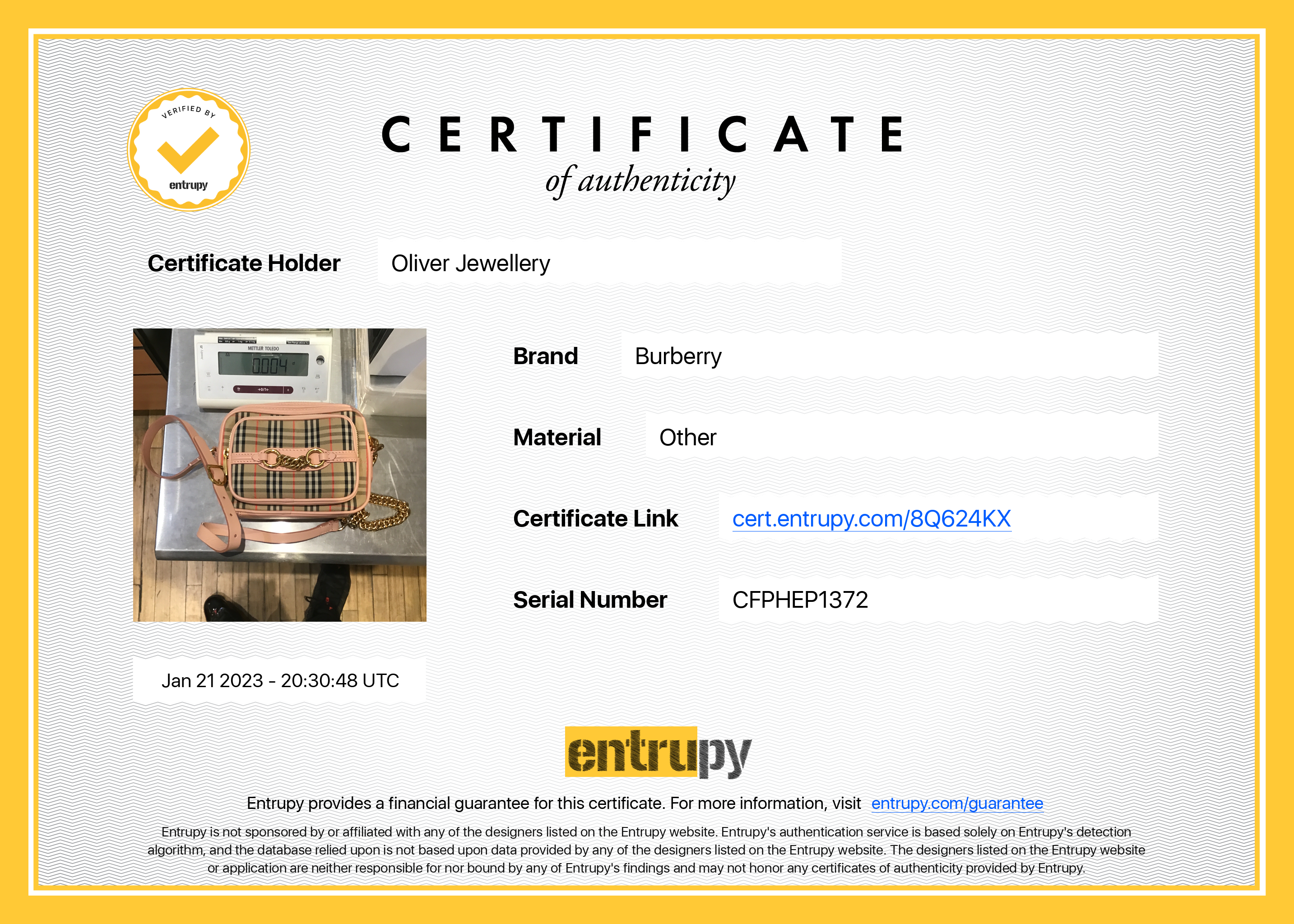 Burberry 1983 Knight Check Link Camera Bag