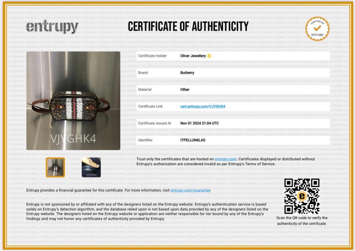 Burberry Brown TB Monogram Stripe E-Canvas Blue Micro Camera Crossbody Bag