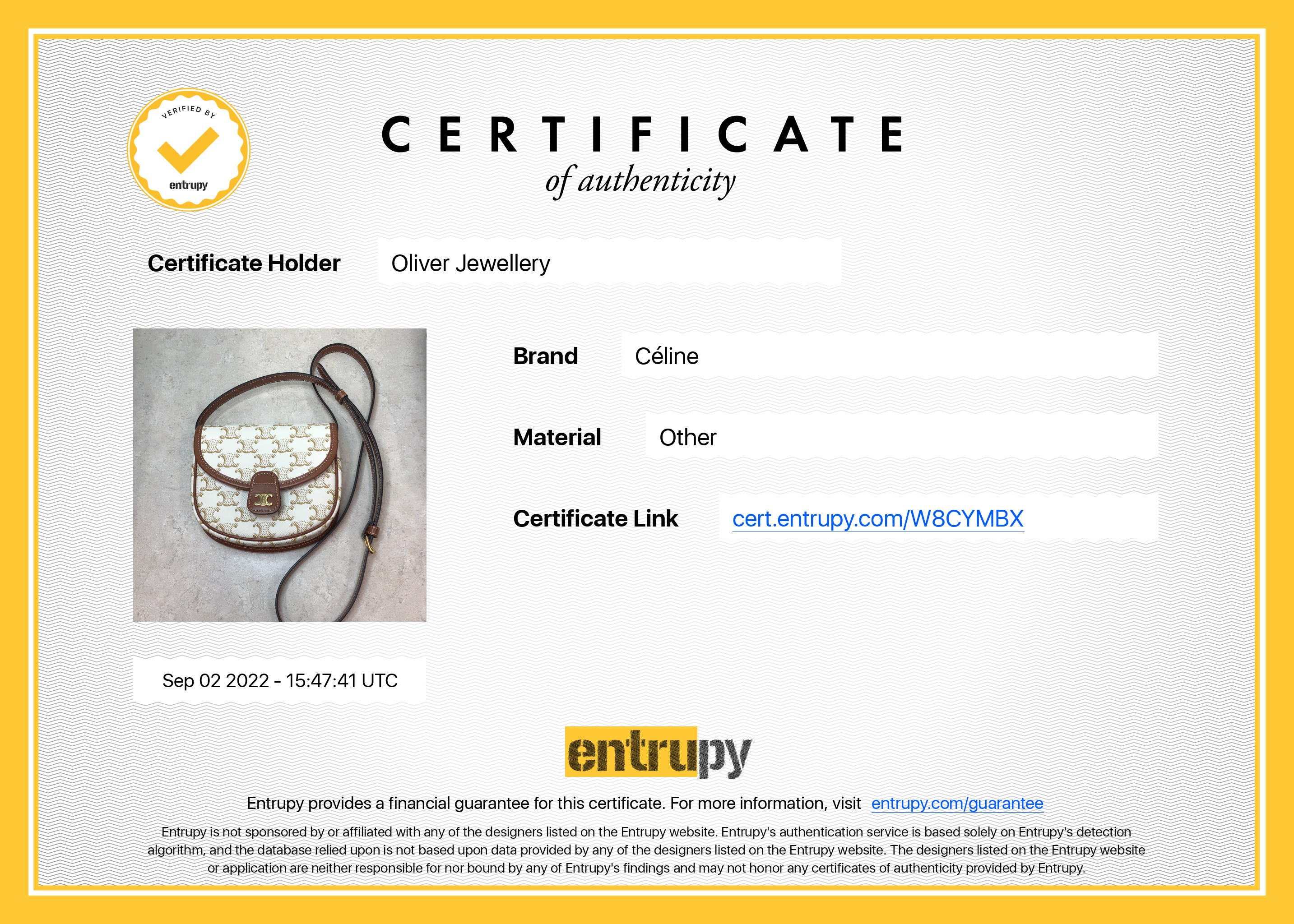 Celine 2021 Triomphe Canvas Mini Besace Crossbody Bag w/ Receipt