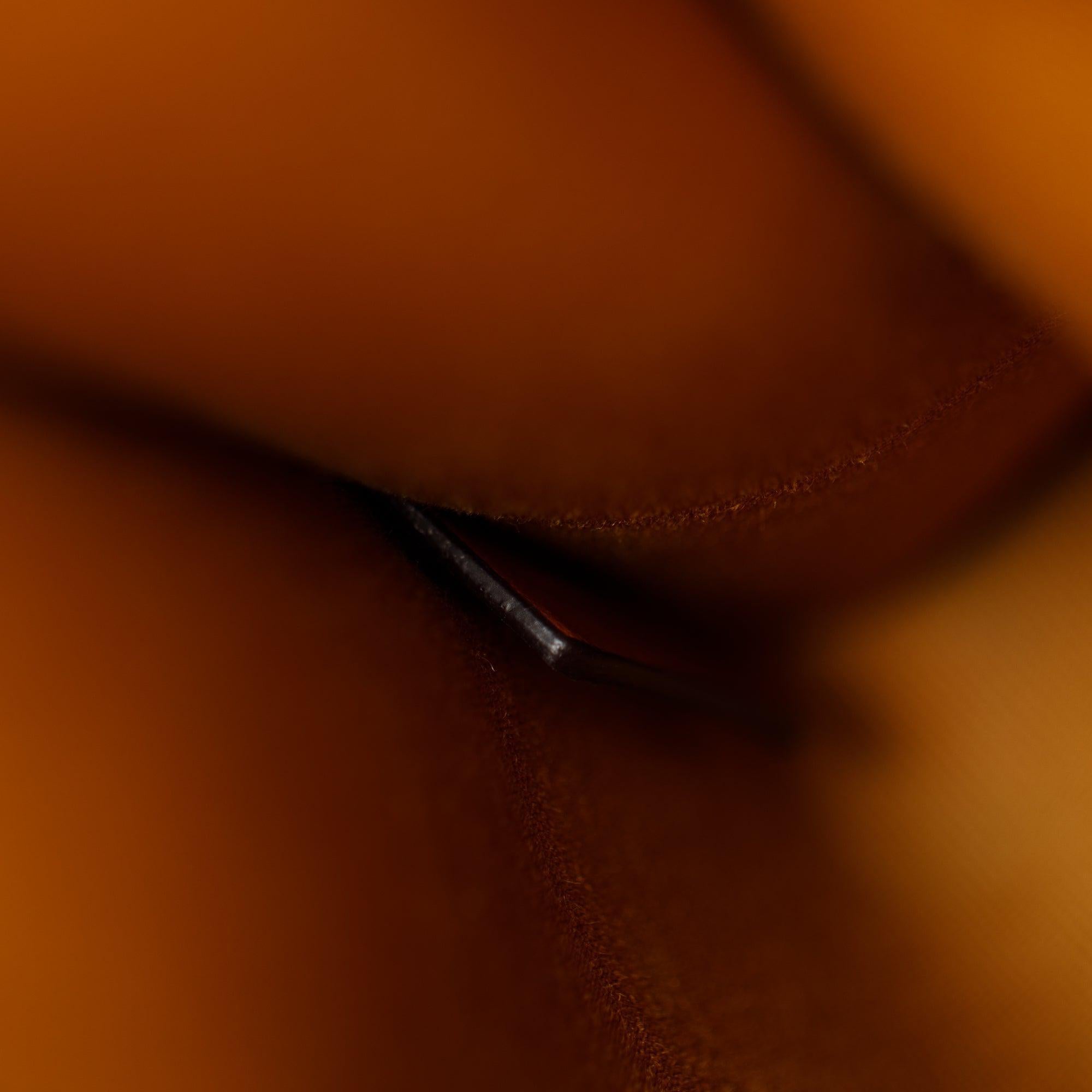 Celine 2021 Triomphe Canvas Mini Vertical Cabas Tote w/ Strap