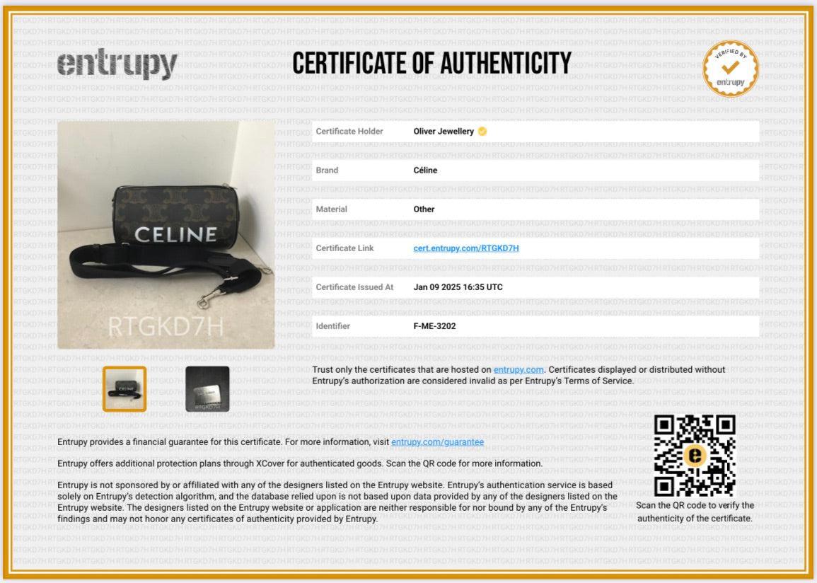 Celine 2022 Brown Triomphe Canvas Cylinder Bag w/ Strap