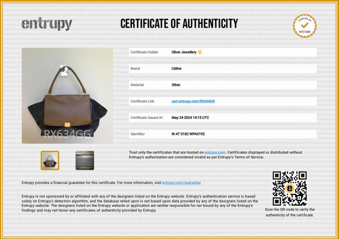 Celine Tricolor Calfskin Leather Suede Large Trapeze Bag