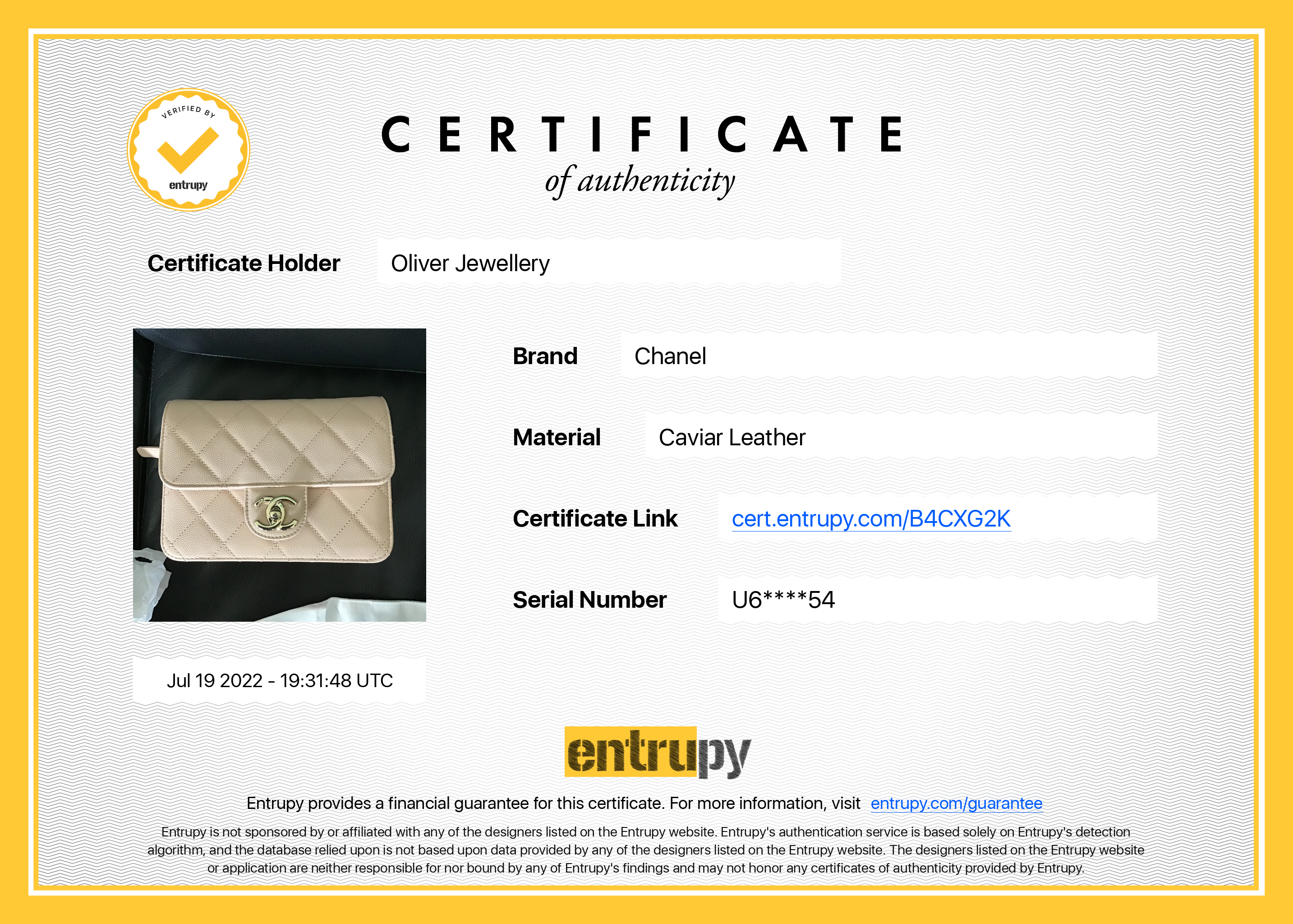 Chanel 2021 Mini Like A Wallet Flap Bag w/ Box