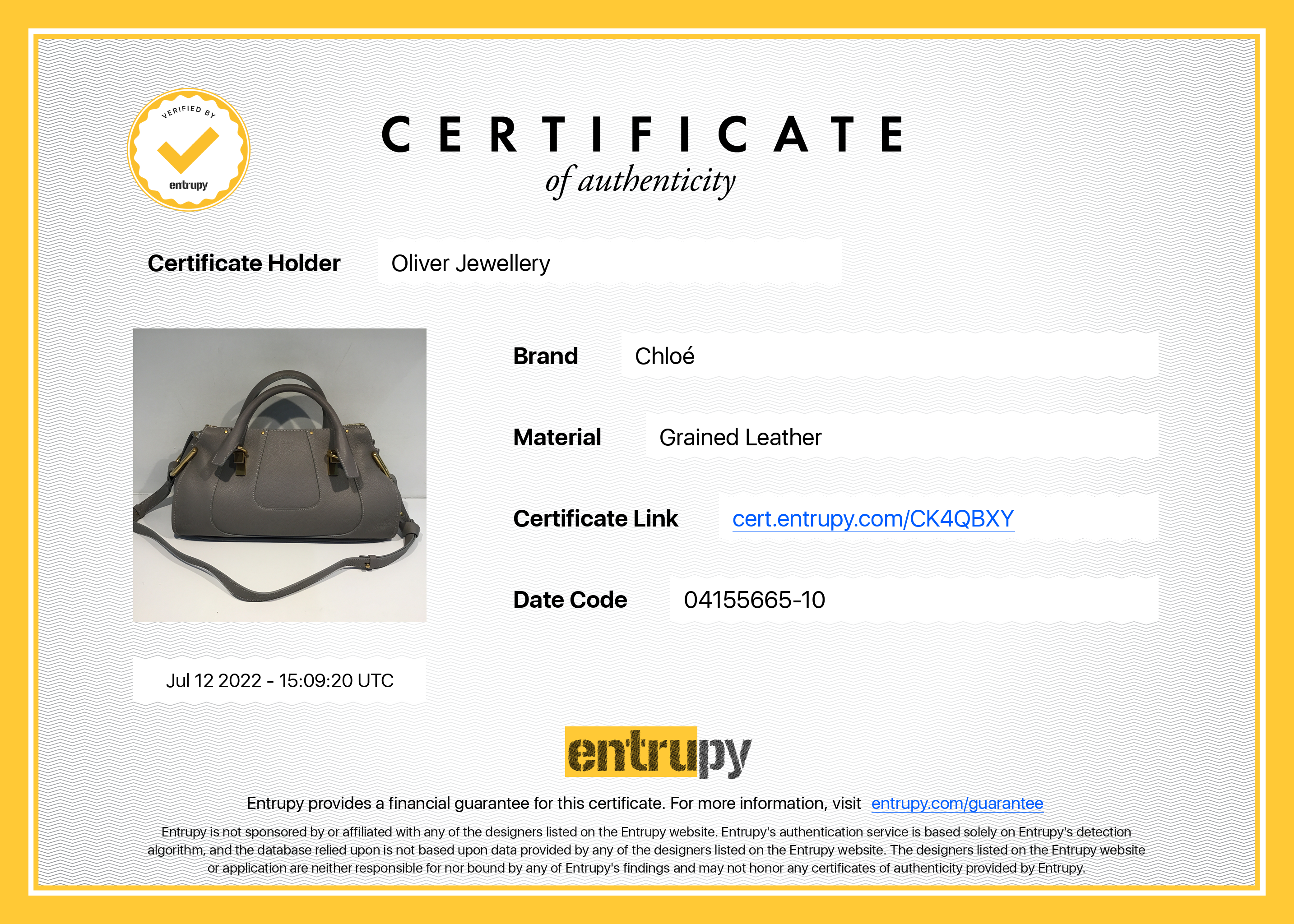 Chloe Medium Hayley Leather Satchel