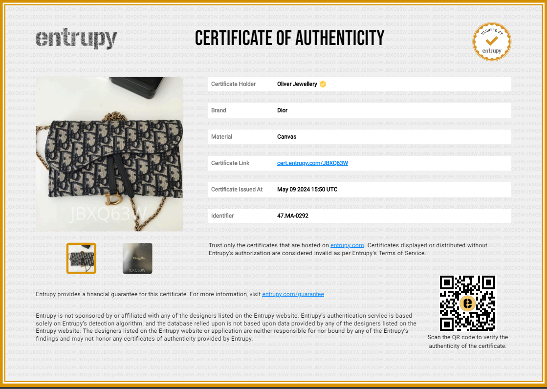 Christian Dior 2022 Oblique Long Saddle Wallet on Chain