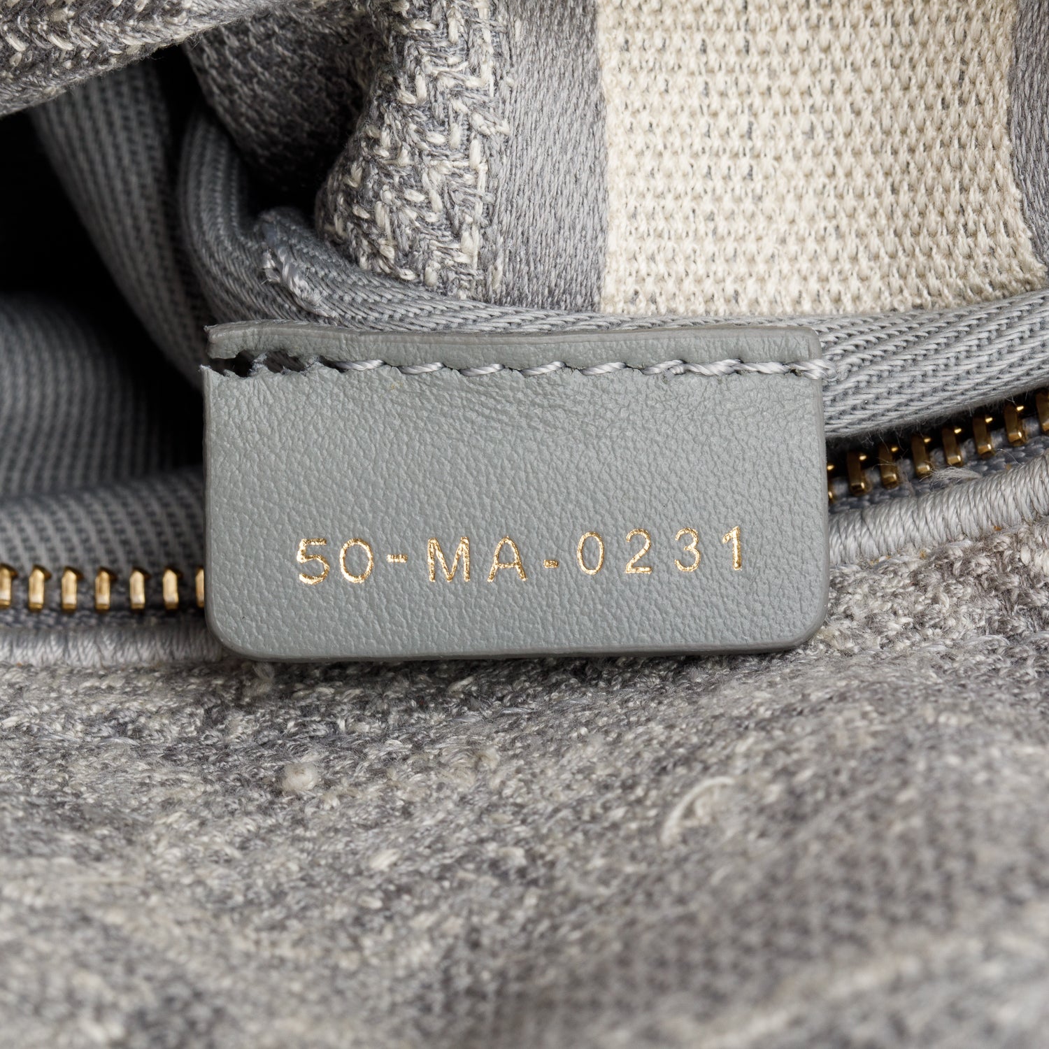 Christian Dior 2021 Grey Canvas Toile de Jouy Embroidered Medium Lady D-Lite w/ Strap